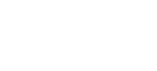 nancy levin logo